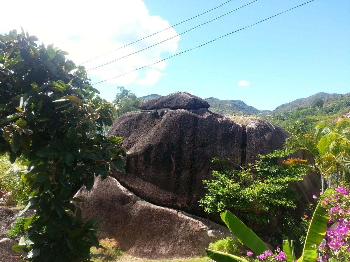 Jardin Marron Baie Sainte Anne Exterior foto