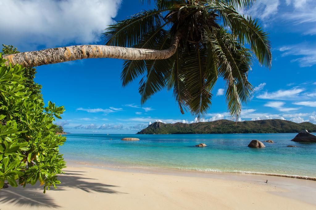 Jardin Marron Baie Sainte Anne Exterior foto