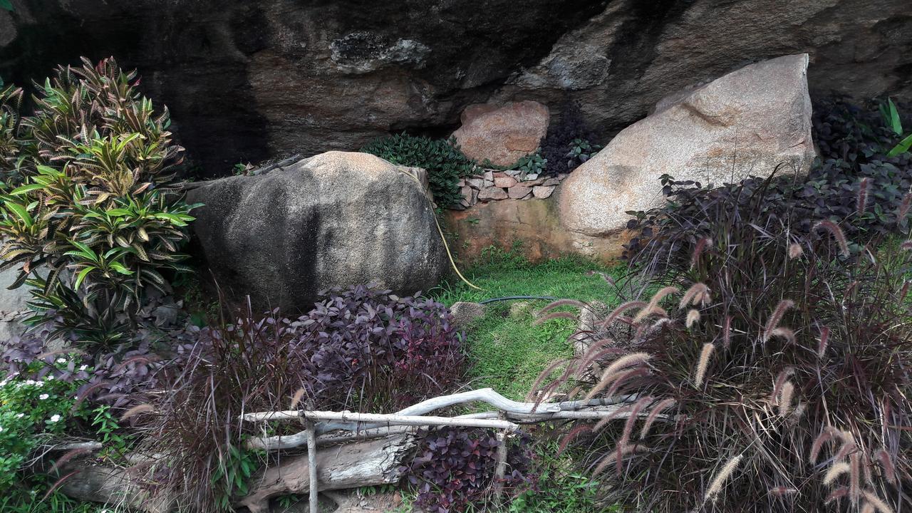 Jardin Marron Baie Sainte Anne Exterior foto