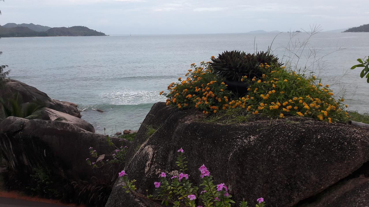 Jardin Marron Baie Sainte Anne Exterior foto