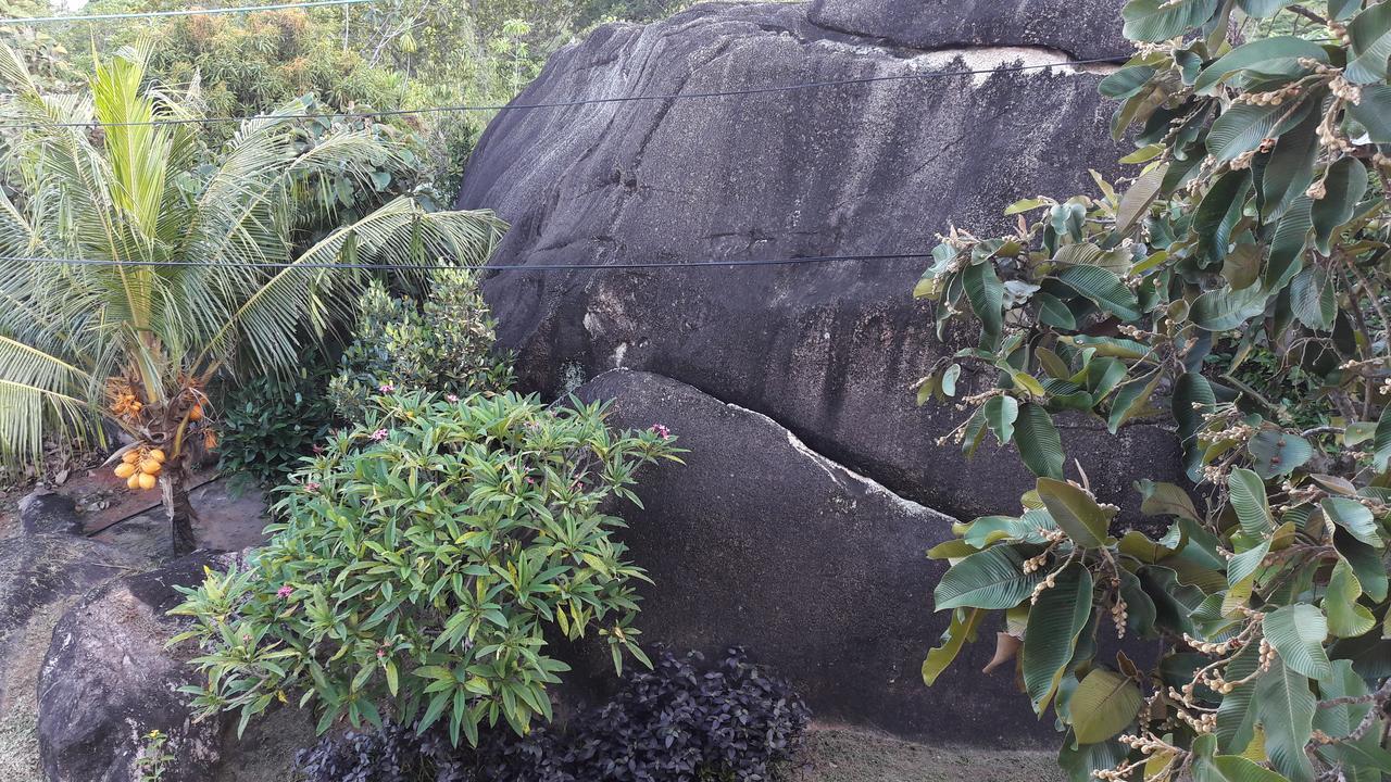 Jardin Marron Baie Sainte Anne Exterior foto